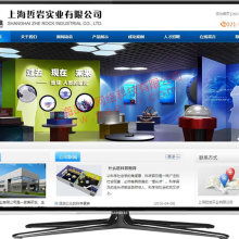 上海企業(yè)網(wǎng)站建設(shè) 數(shù)字化轉(zhuǎn)型的門戶與引擎