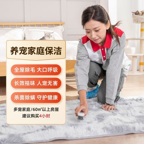 寵物友好家庭的專業保潔 從毛發到氣味，再到消毒的全方位指南